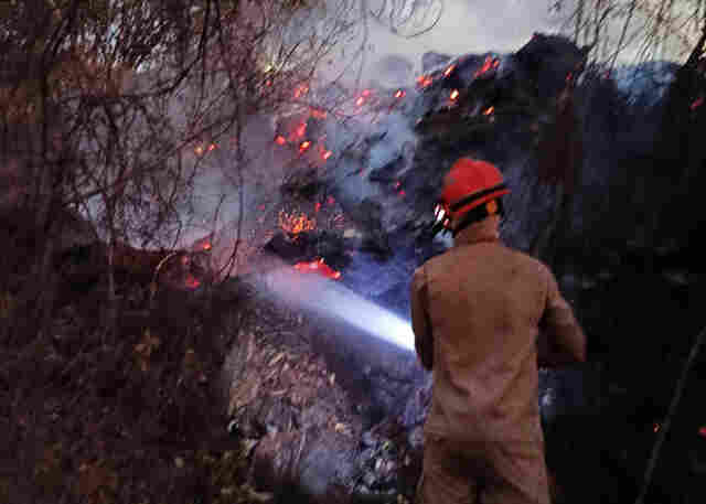 Queima de lixo pode ter causado inc&ecirc;ndio em &aacute;rea de mata &agrave;s margens do Rio Paraguai em Corumb&aacute;