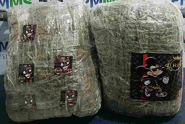 Pol&iacute;cia Militar intercepta embarque de passageiro com 15,5 kg de skunk avaliados em R$ 155 mil em Corumb&aacute;