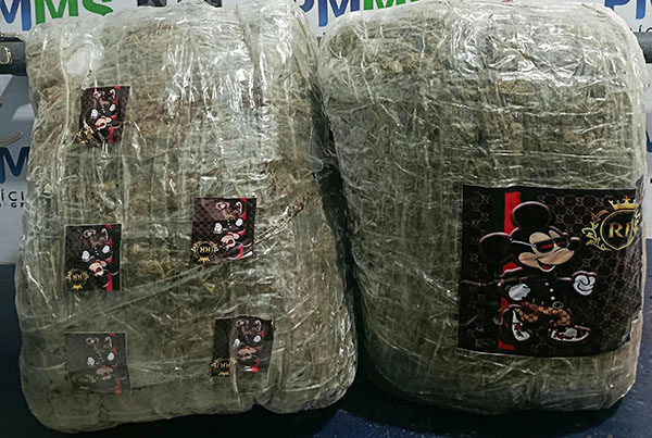Polícia Militar intercepta embarque de passageiro com 15,5 kg de skunk avaliados em R$ 155 mil em Corumbá