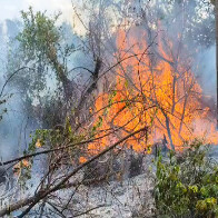 Bombeiros utilizam 12 mil litros de &aacute;gua para combater inc&ecirc;ndio de grandes propor&ccedil;&otilde;es em &aacute;rea de vegeta&ccedil;&atilde;o entre Corumb&aacute; e Lad&aacute;rio