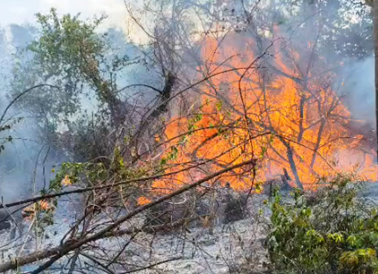 Bombeiros utilizam 12 mil litros de &aacute;gua para combater inc&ecirc;ndio de grandes propor&ccedil;&otilde;es em &aacute;rea de vegeta&ccedil;&atilde;o entre Corumb&aacute; e Lad&aacute;rio