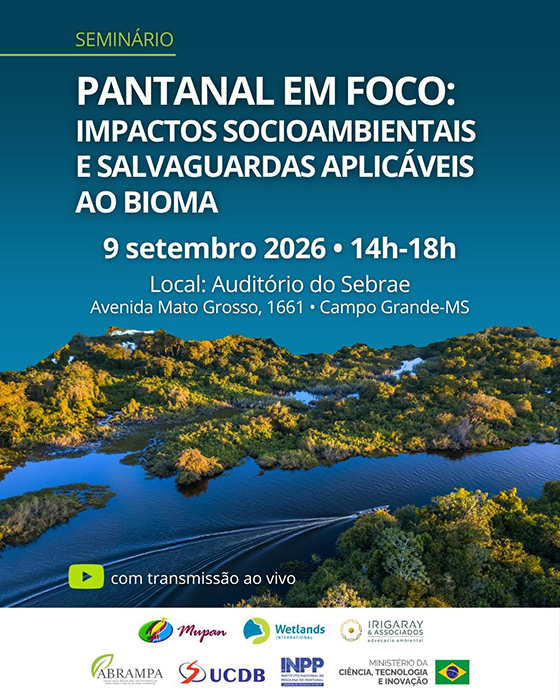 Estudo com 27 recomenda&ccedil;&otilde;es prop&otilde;em novos crit&eacute;rios para avalia&ccedil;&atilde;o de impactos no Pantanal