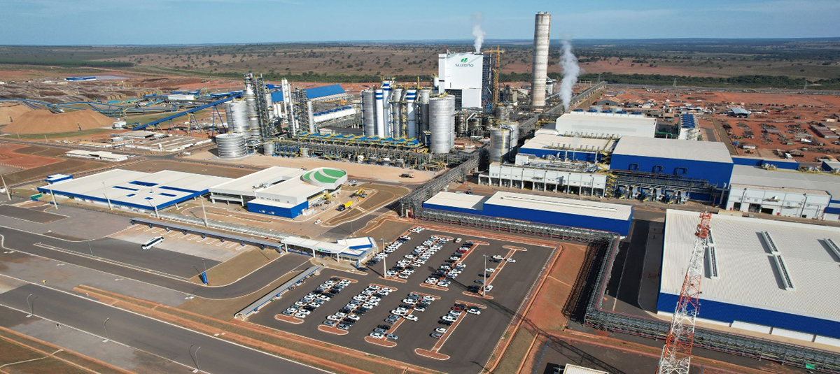 Celulose se consolida como nova locomotiva da indústria de MS