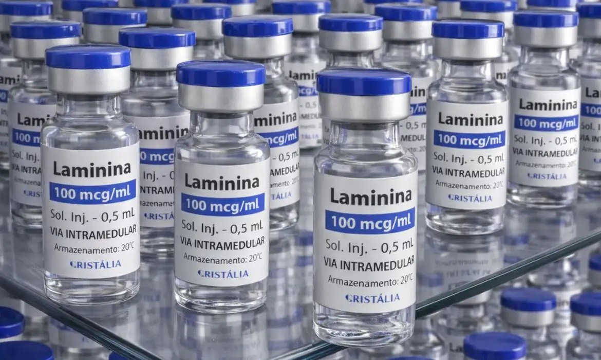 Testes cl&iacute;nicos fase 1 da polilaminina come&ccedil;am este m&ecirc;s