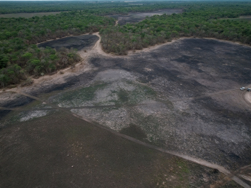 MPMS apura incêndios que consumiram mais de mil hectares em Aquidauana