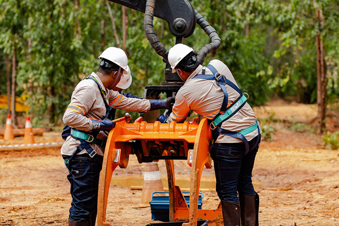Eldorado Brasil abre 90 vagas de trainee para operador e mecânico de máquinas florestais em MS