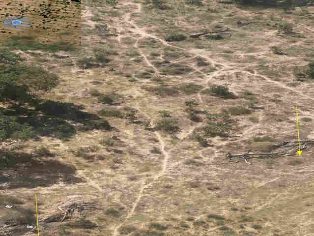 MPMS investiga desmatamento de mais de 750 hectares no Pantanal de Corumb&aacute;