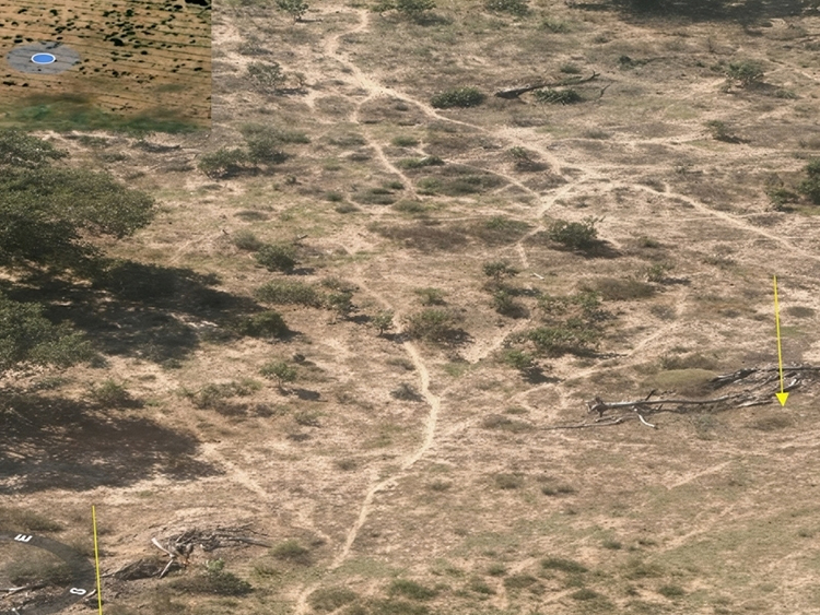 MPMS investiga desmatamento de mais de 750 hectares no Pantanal de Corumbá