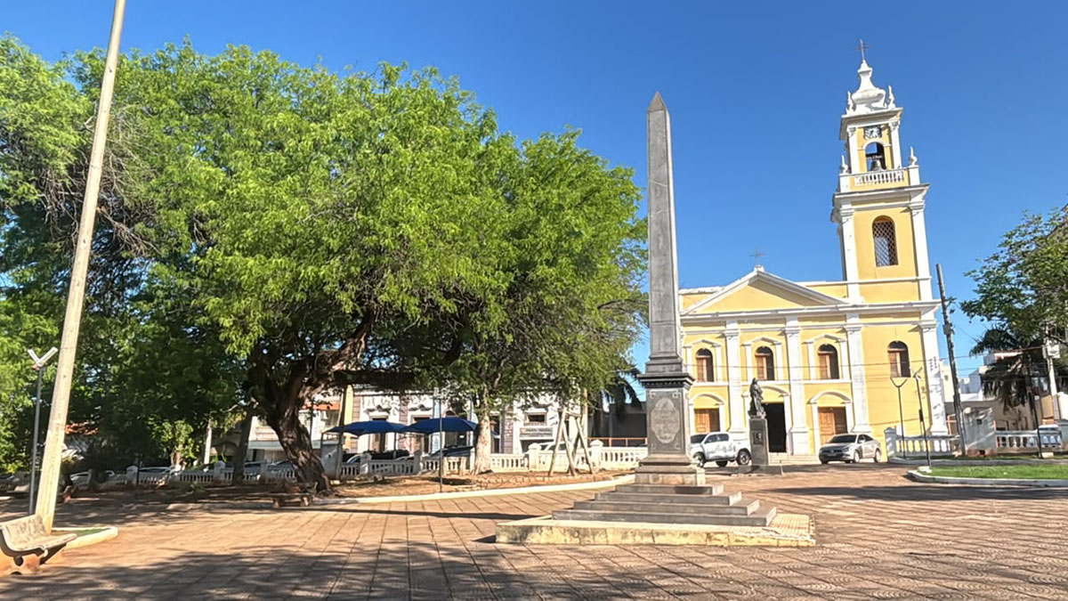 Tecnologia e participa&ccedil;&atilde;o da popula&ccedil;&atilde;o ajudam Corumb&aacute; a planejar o futuro das &aacute;rvores da cidade