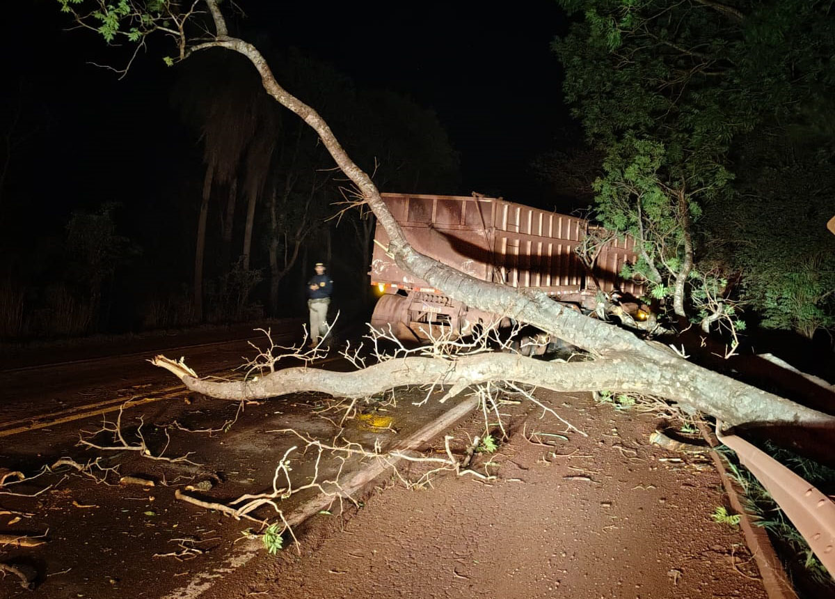 Carreta sai da pista após desviar de árvore caída na BR-262 em Corumbá