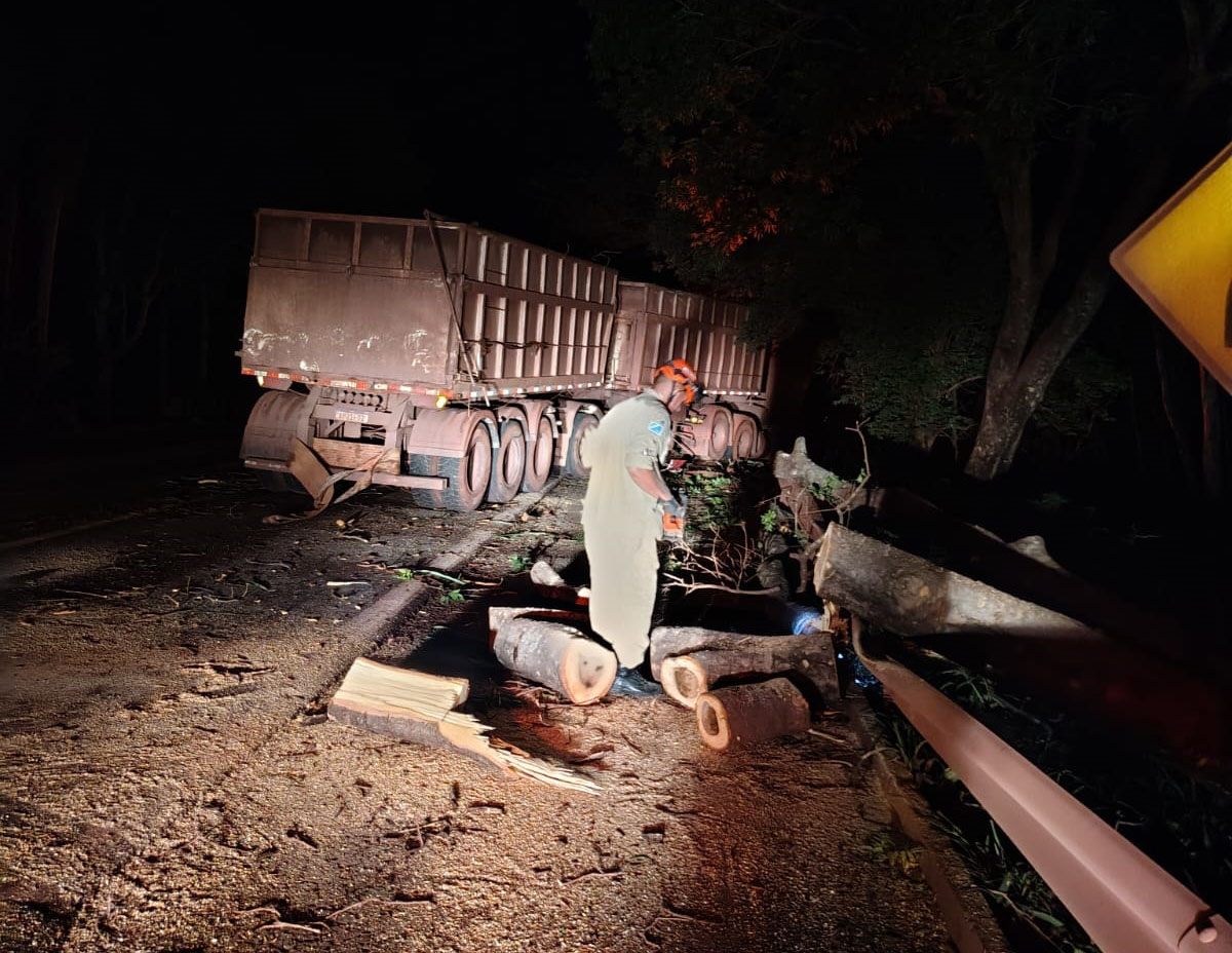 Carreta sai da pista após desviar de árvore caída na BR-262 em Corumbá