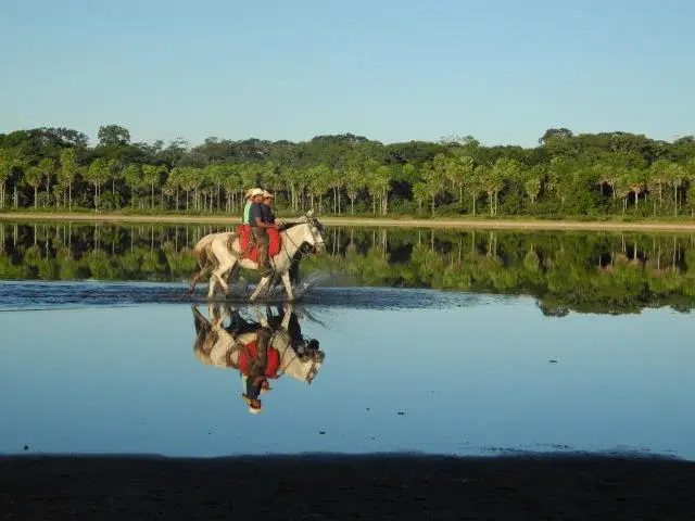 Mato Grosso do Sul chega aos 49 anos com destaque na pecu&aacute;ria brasileira h&aacute; mais de 2 d&eacute;cadas